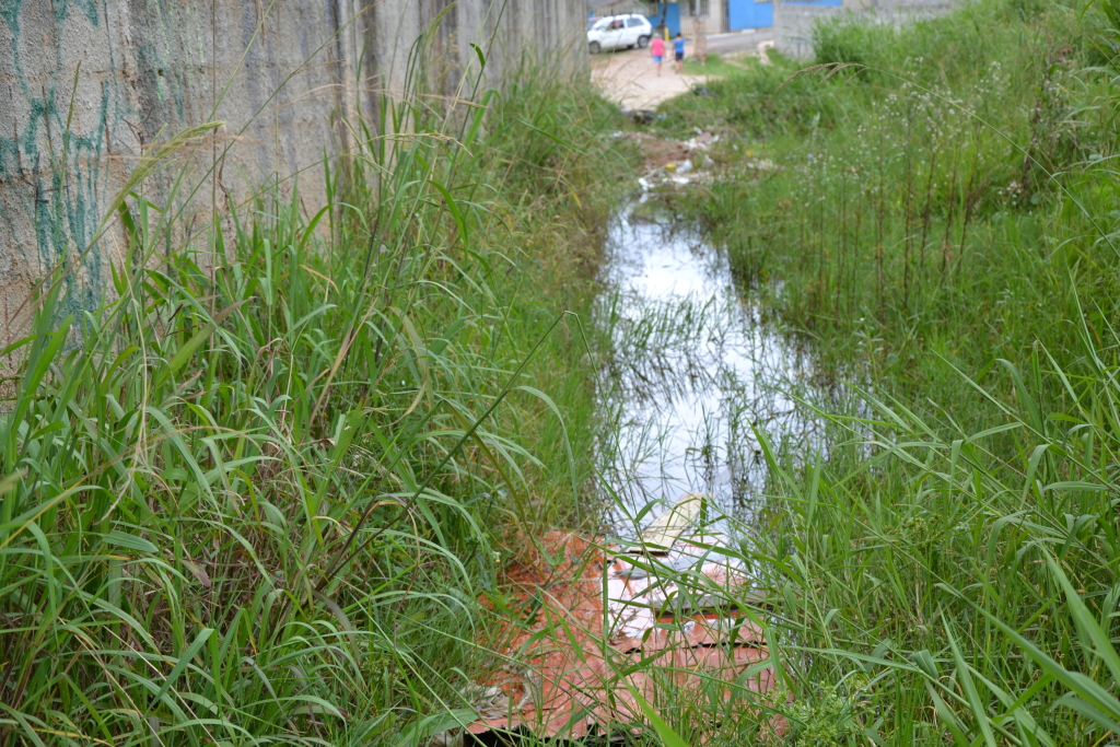 Terreno localizado na Rua Paschoal L. Toniolo ao lado do Cj. Residencial Maracanã.