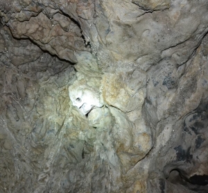 Caveira da Gruta de Bacaetava
